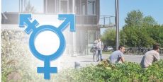 Gendering a health-promoting university